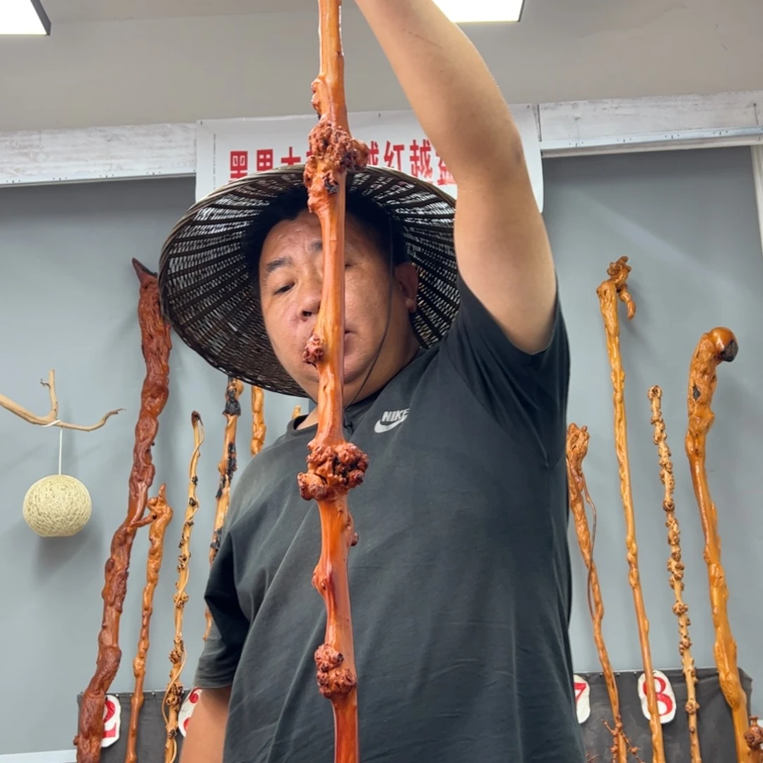 黑果木其他黑果木949