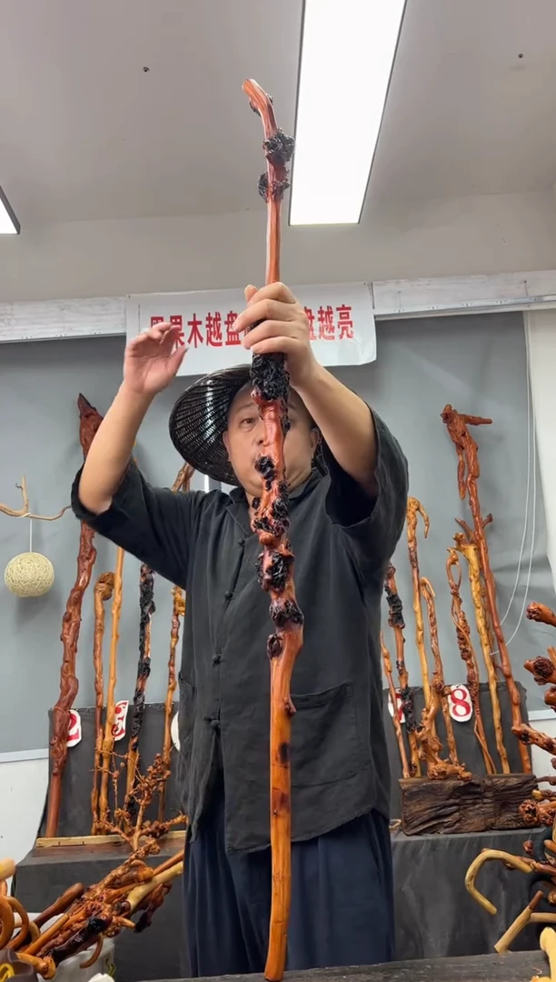 【闪购商品】黑果木其他黑果木708