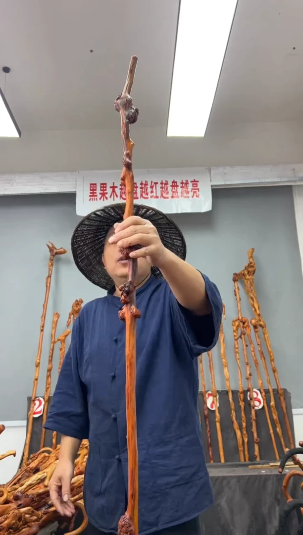 【闪购商品】黑果木其他黑果木871