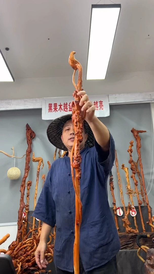 【闪购商品】黑果木其他黑果木227