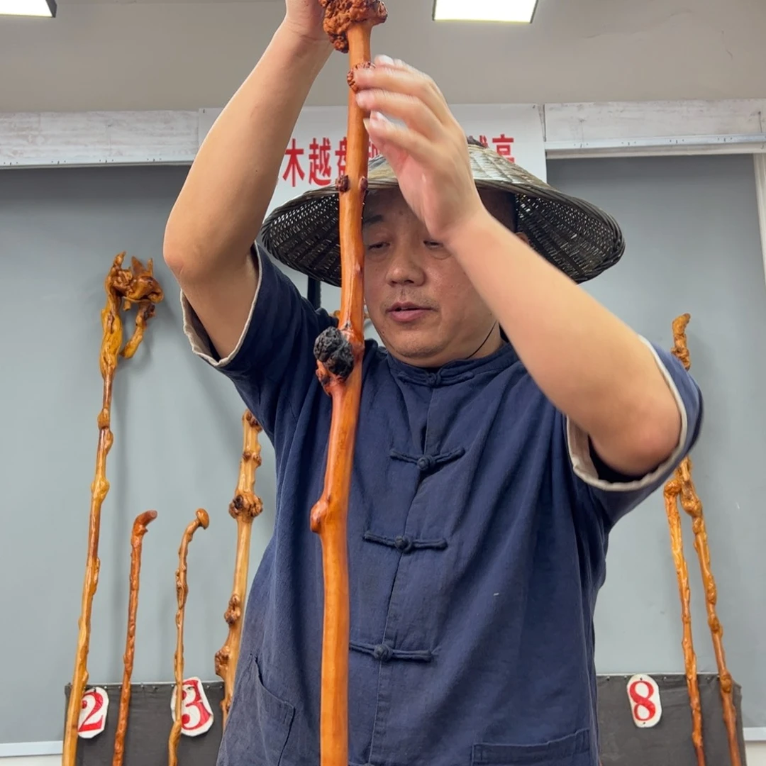 黑果木其他黑果木456