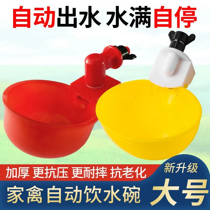 家禽自动饮水器全自动家用喂鸡神器鸡鸭鹅鸽子喂水碗大号水满自停