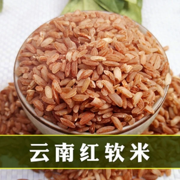 【臭带货】农家红软米（非决明子）