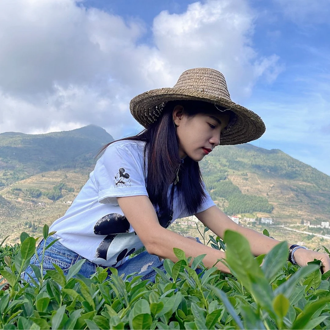 【福利三件套】詹家茶业服务至上