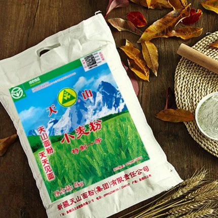 新疆天山奇台面粉5斤雪花粉蒸馒头做饼做面条新疆面粉筋道小麦粉