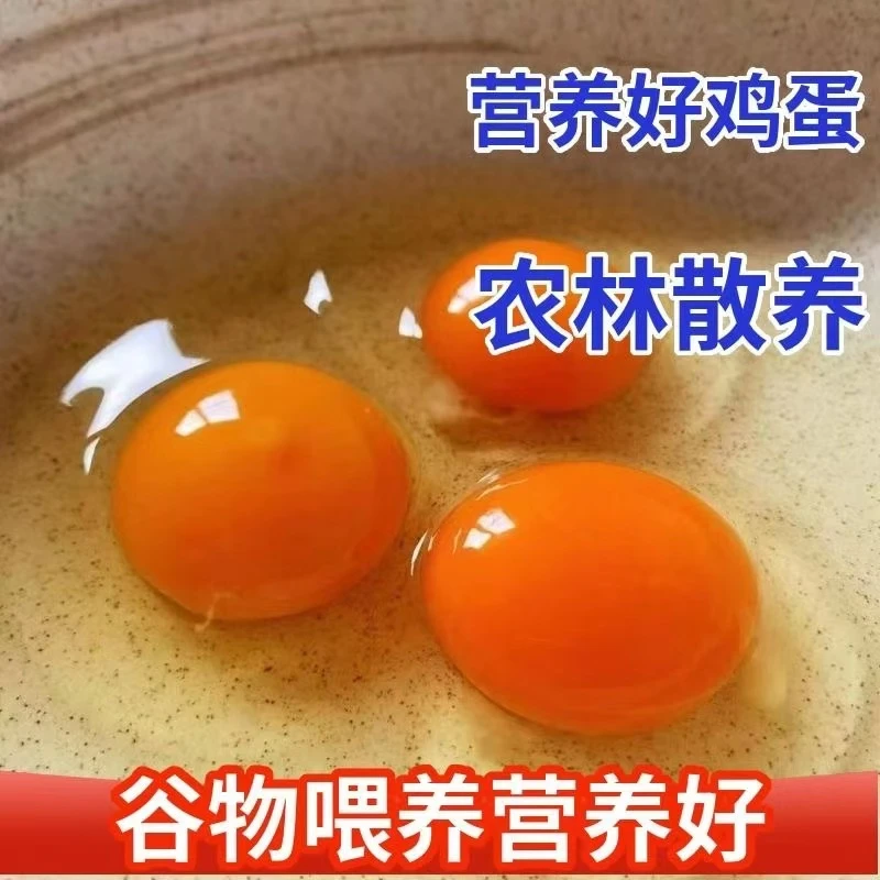 实惠【大个虫草蛋拍40枚】正宗土鸡蛋新鲜鸡蛋乡村农家虫草蛋