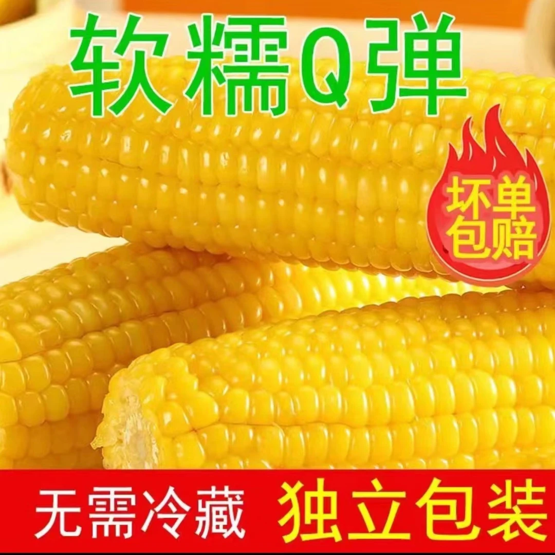 【试吃两根】新2024东北头茬黄糯玉米整箱12支6斤以上