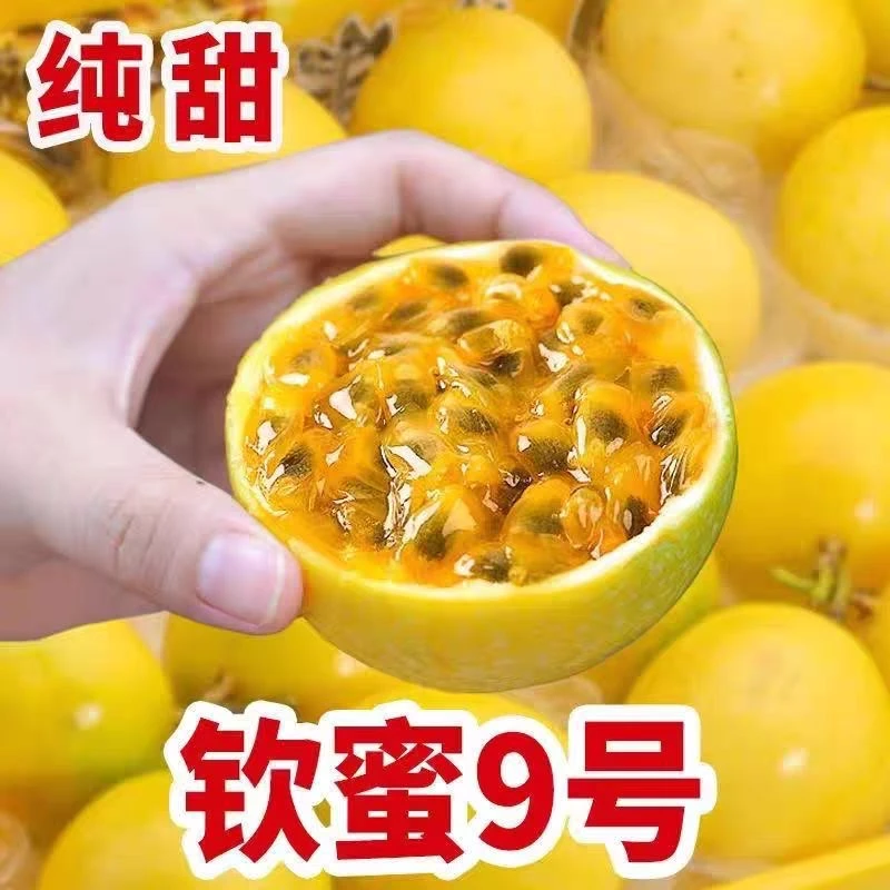【香甜多汁 顺丰包邮】新鲜现摘广西南宁钦蜜9号黄金百香果爆汁好吃