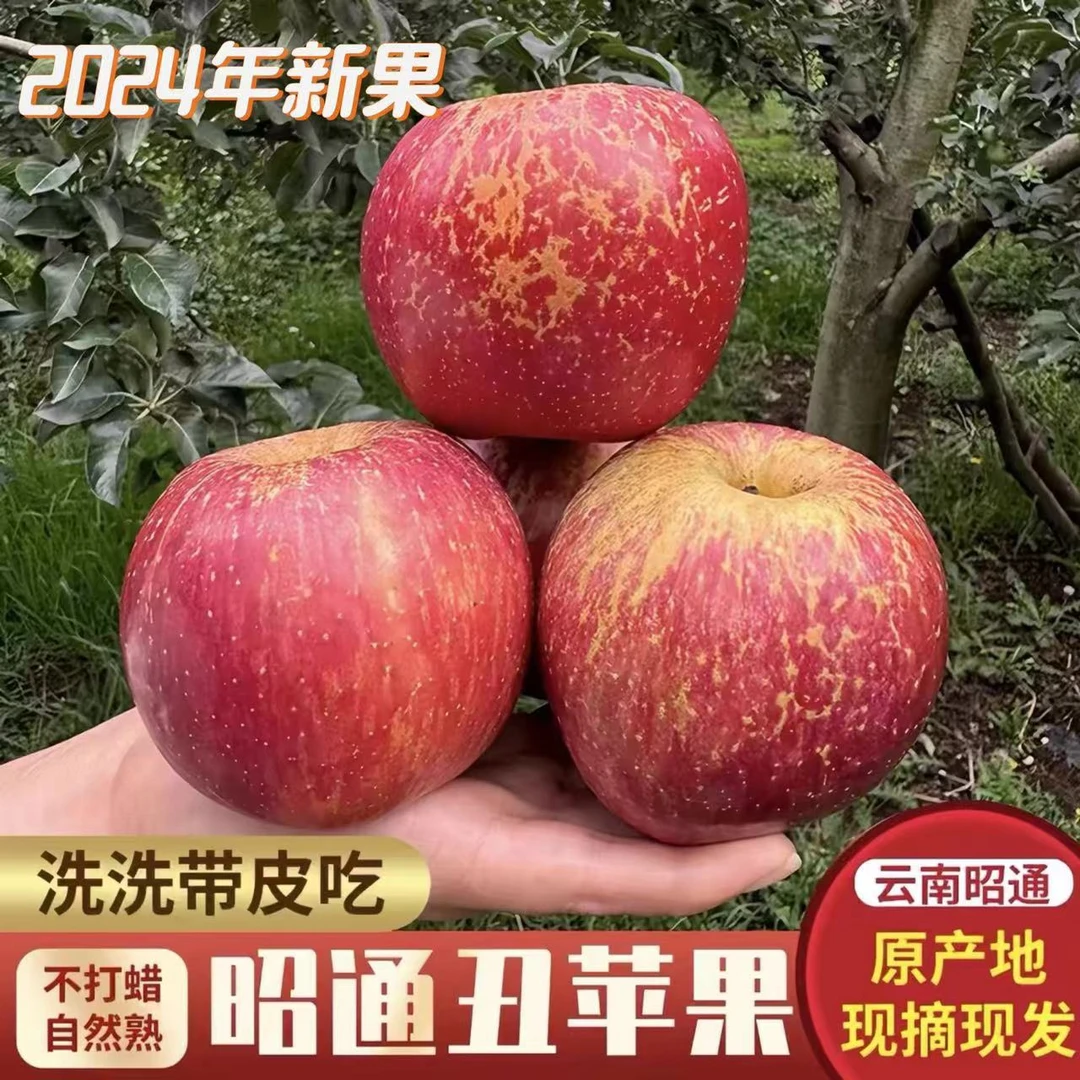 【产地现摘现发】正宗昭通丑苹果脆甜多汁当季现摘高原丑苹果5/8斤
