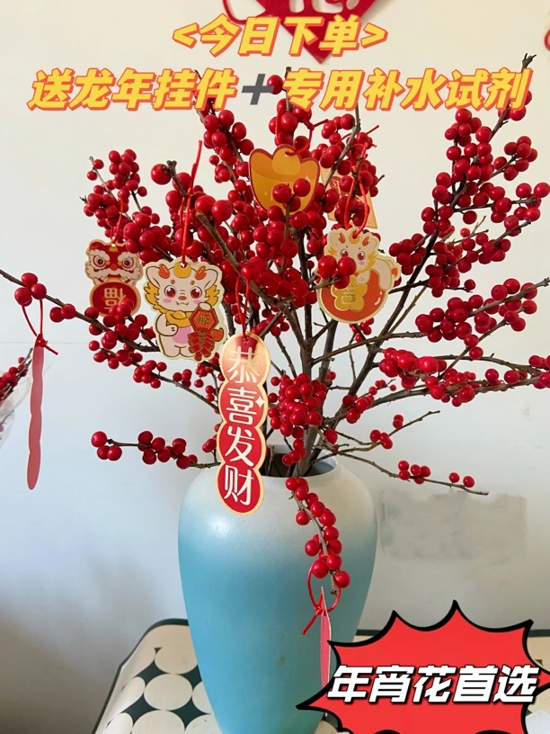 【A级50公分】新春年宵花精选北美冬青鲜切枝鲜艳耐寒观赏好养活