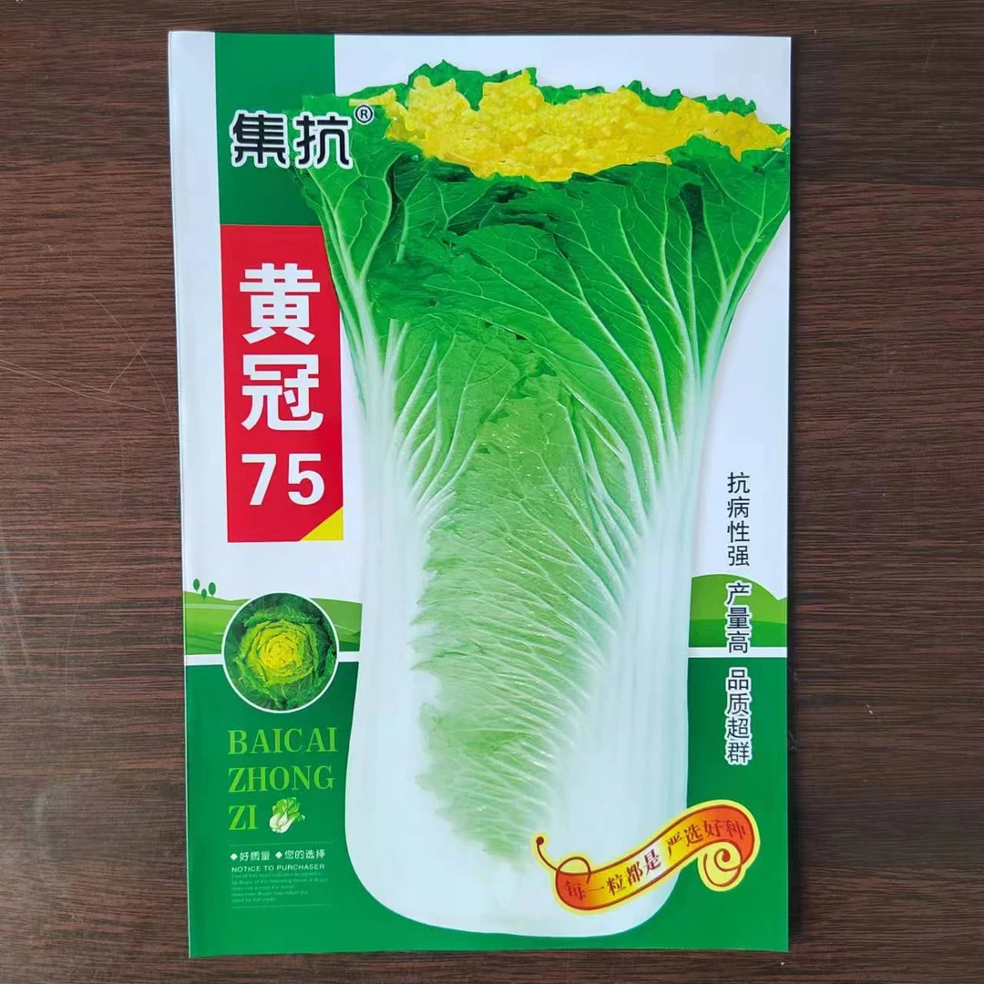 黄冠75黄心大白菜