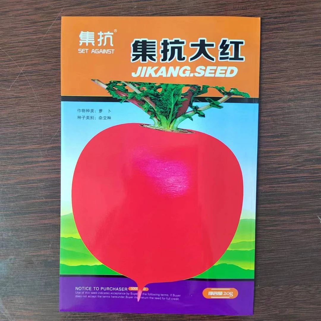 集抗大红萝卜种子