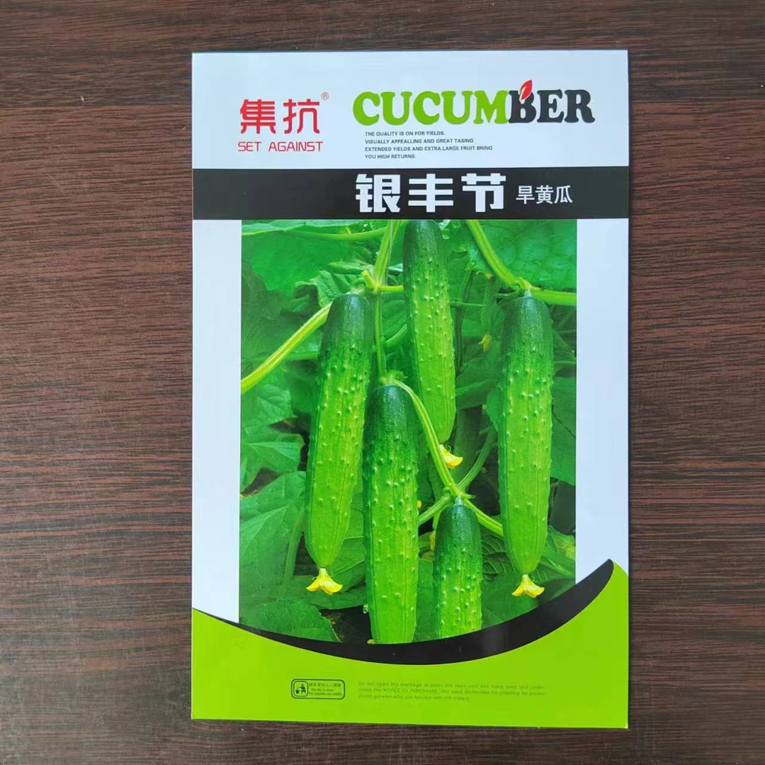 银丰节黄瓜种子，节节有瓜
