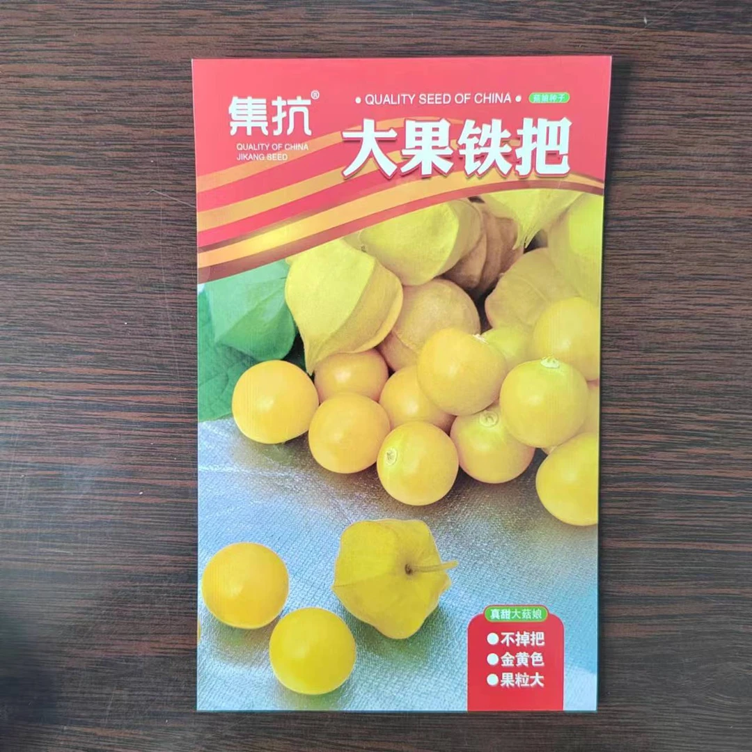 大果铁把菇娘种子