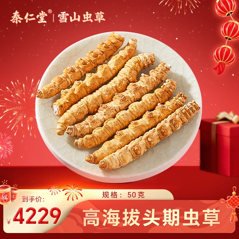 【严选】大断草-50克-饱满干断草 冬虫夏草  食用优选 送礼优质佳品