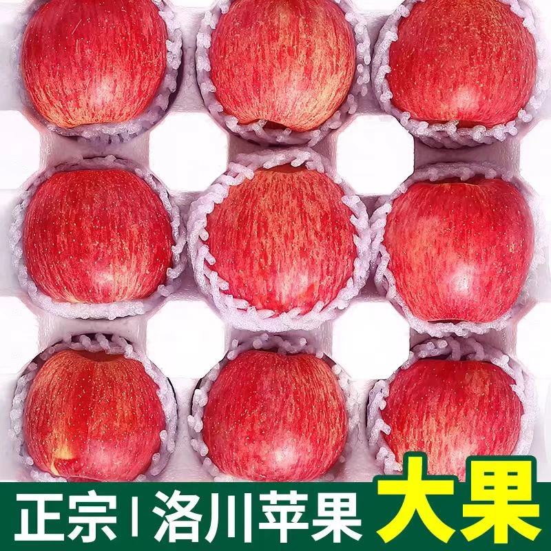 山西太原红富士大苹果