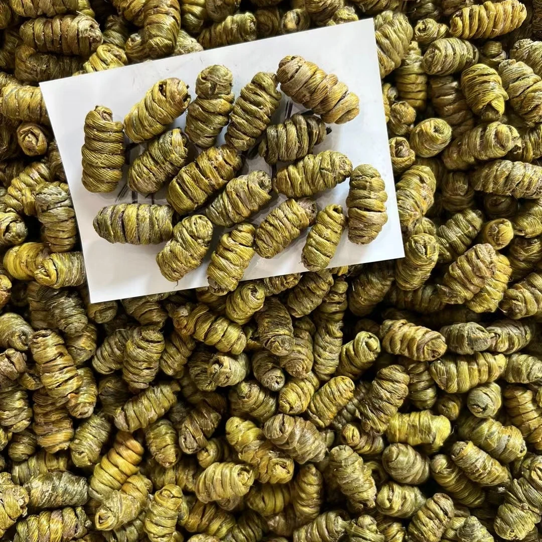 云南大颗粒铁皮石斛500g石头种植石斛枫斗一斤可打超细粉