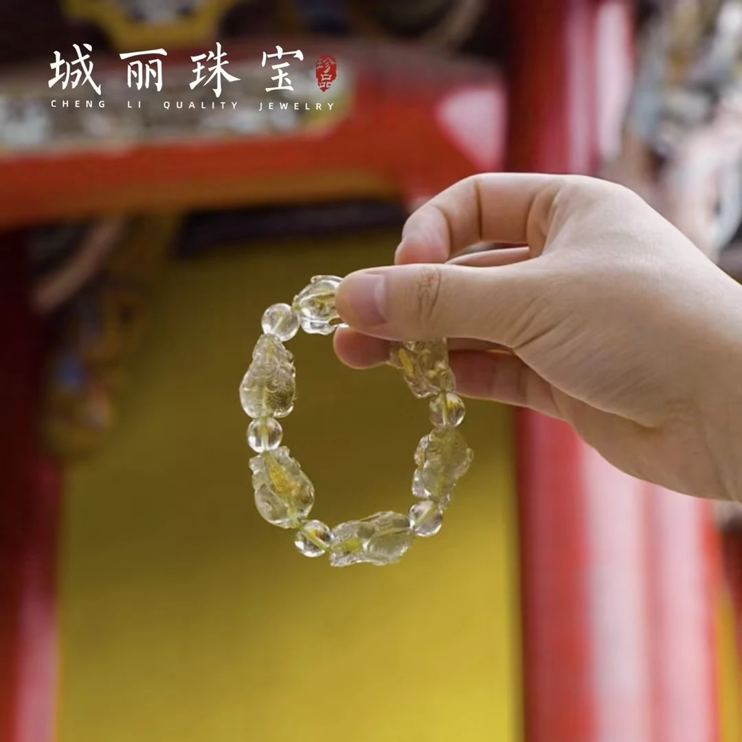 非金属皮质手链 【城丽】九紫龙龟债必清天团手串/个ZJH-9029