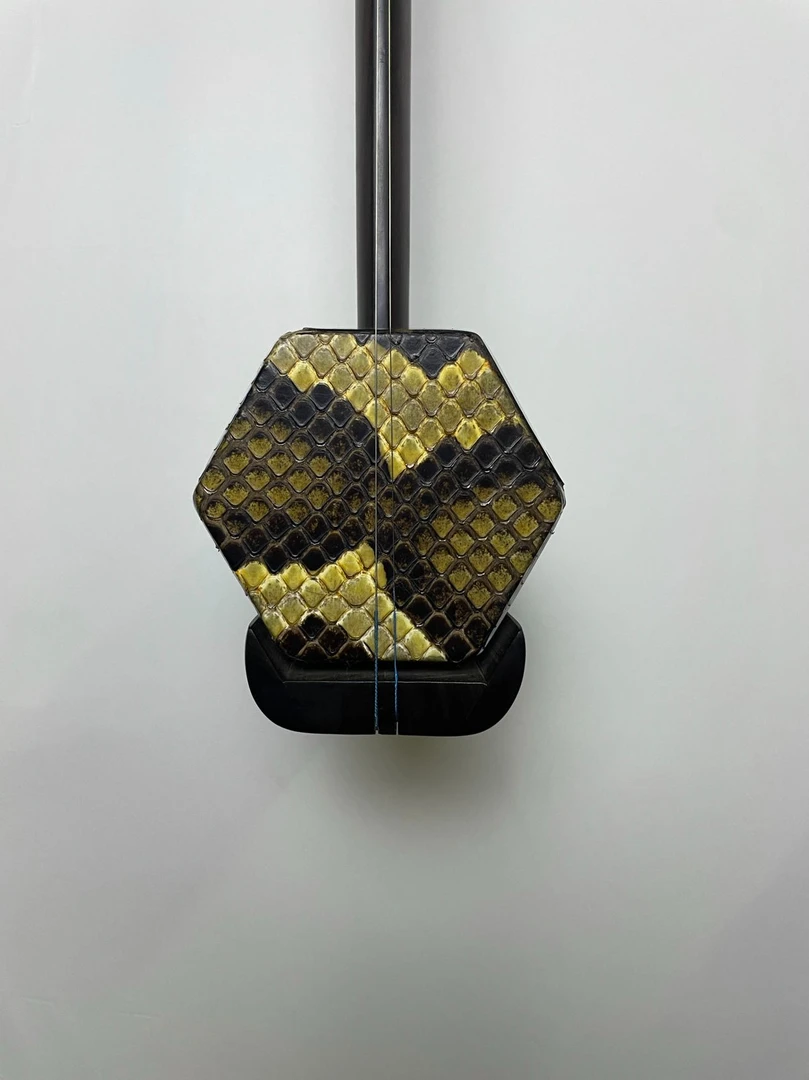 家彭定制演奏二胡纯手工正品三星红木精品