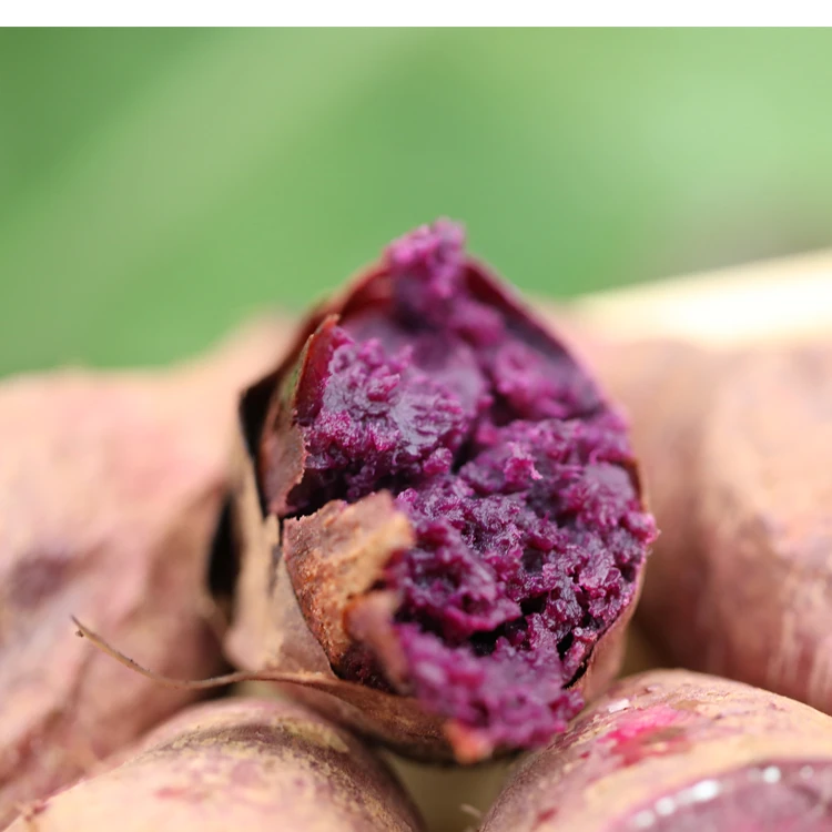 云南沙地紫薯 板栗紫薯地瓜农家自种 中小混发4.8斤韵达