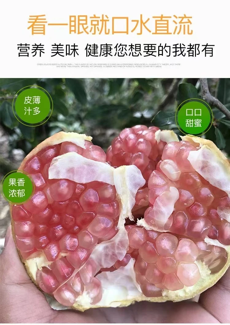 云南蒙自老树水晶石榴薄皮甄迭（礼盒装）
