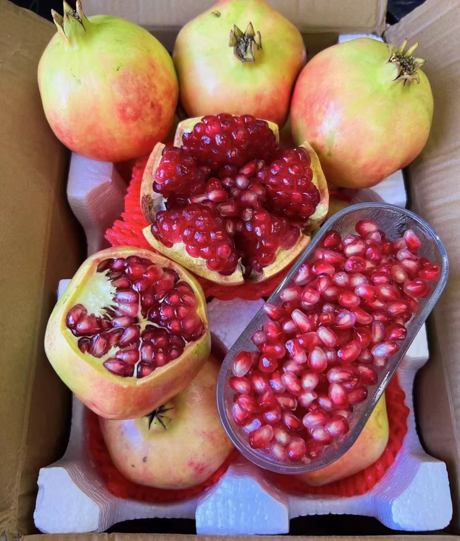 又大又红的大石榴