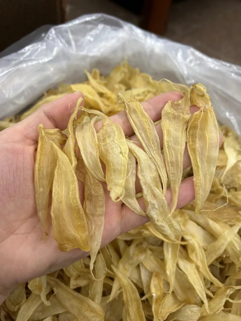 430头 纯野老胶，正豆仁公胶500g