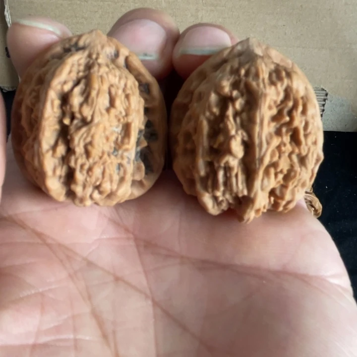 文玩核桃把件蚂蚁沟