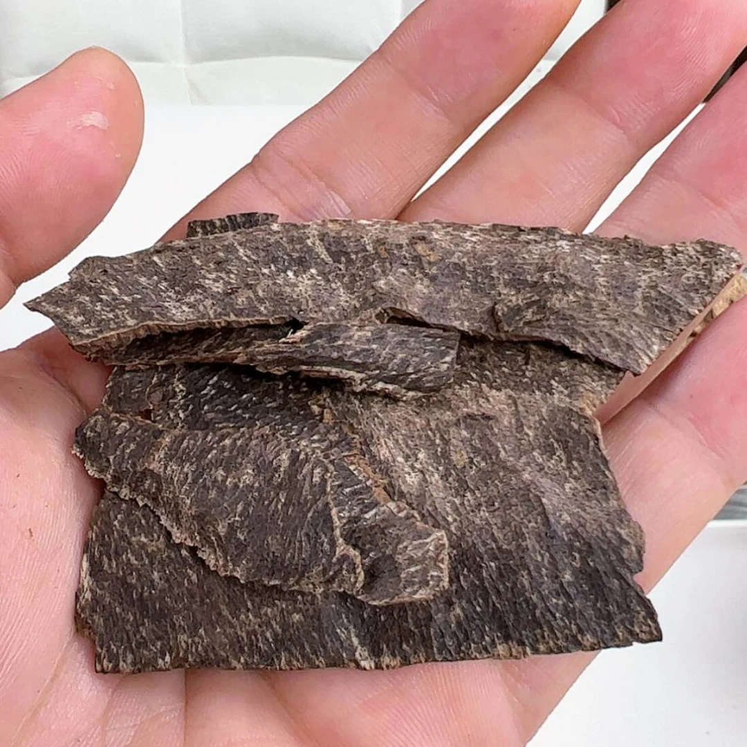 【闪购商品】s海南沉水沉香4.28克