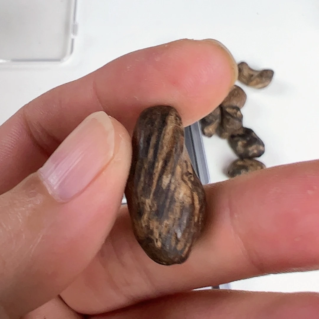 【闪购商品】Y*越南芽庄沉水都蓬沉香留疤1.81克