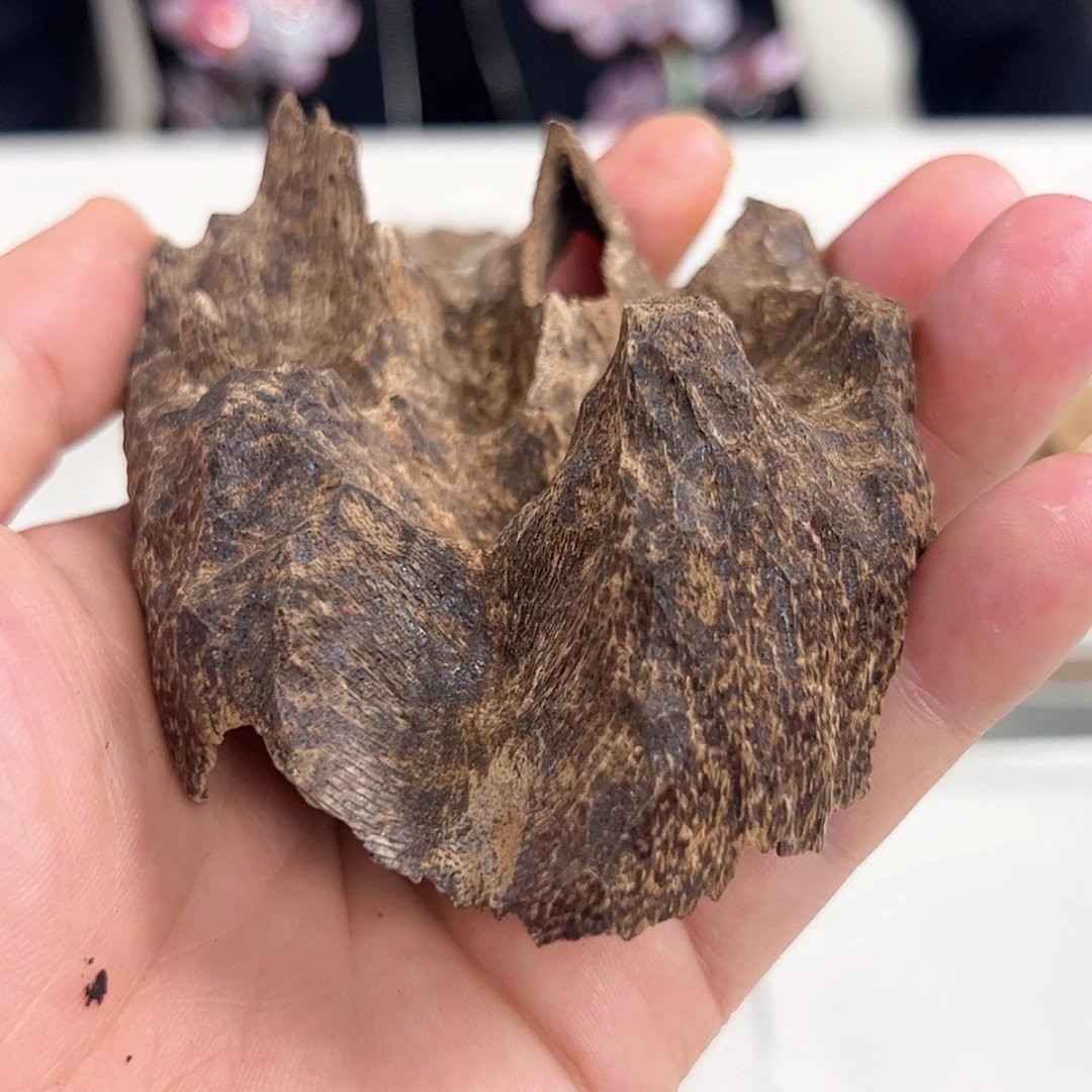【闪购商品】聆*海南老铁头沉香11.9克