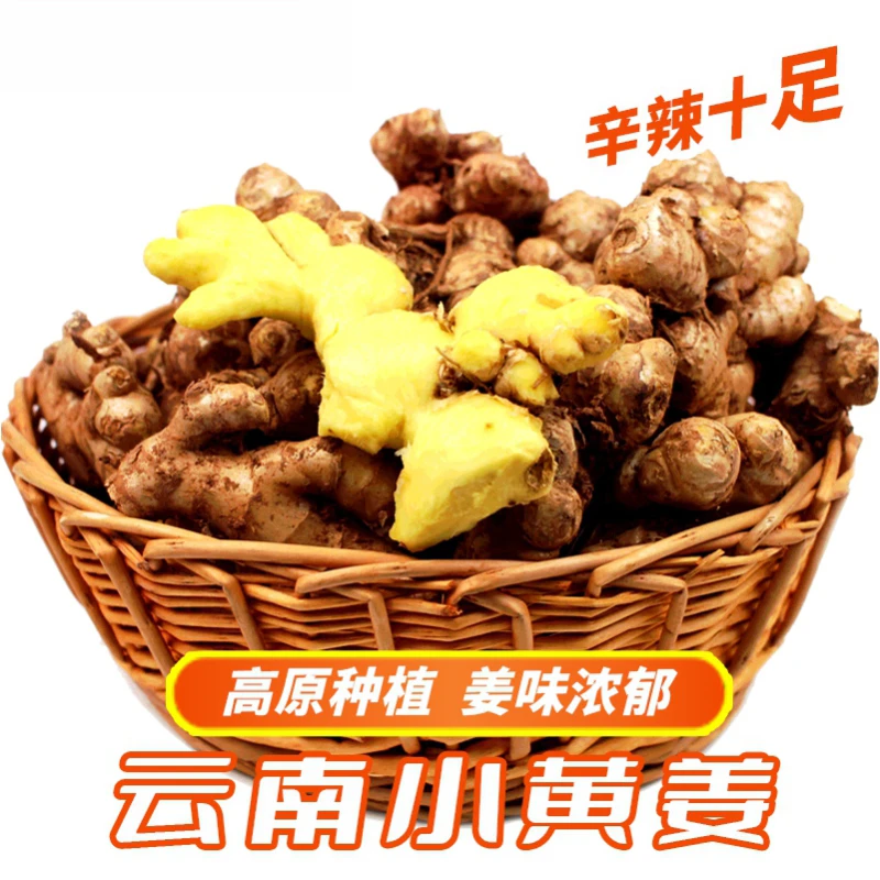 云南文山高山小黄姜 现挖新姜 3斤/5斤/10斤带箱食用调味新鲜产地