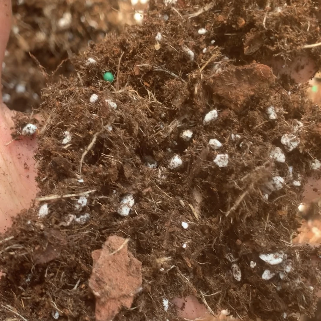 奈斯园艺 苗圃自用营养土配方型介质土月季绣球专用土疏松透气