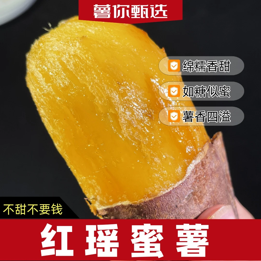 山东蜜薯真甜 【新店特惠】正宗红瑶红薯软糯香甜金瑶番薯糖心蜜甜