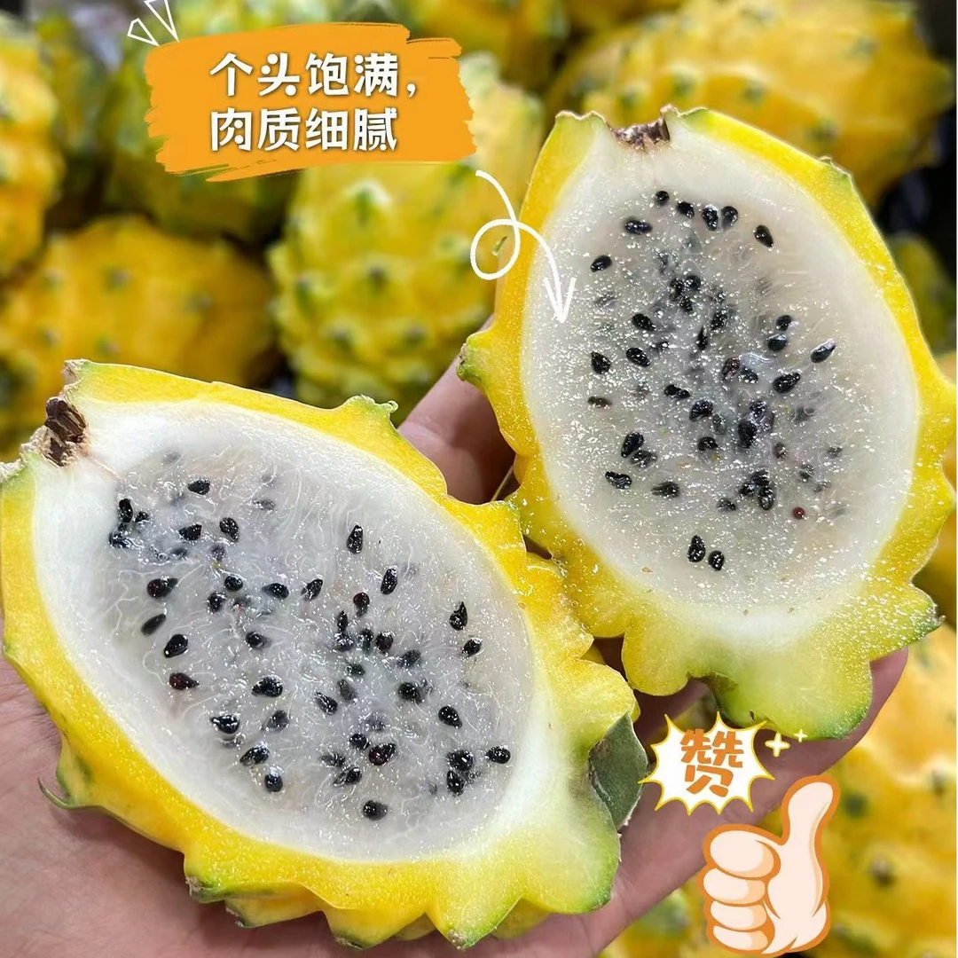 海南燕窝果新鲜水果麒麟果稀有当季非黄色火龙果燕窝果商超大果