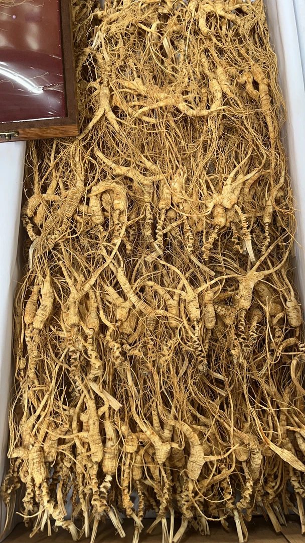 长白山山参干100克