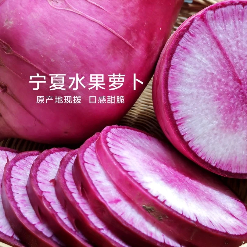宁夏水果萝卜口感甜脆5斤