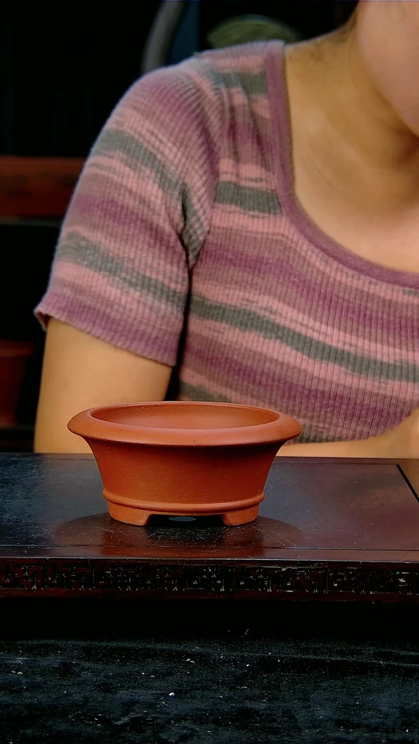 【闪购商品】紫砂20CM以下内口径9/4