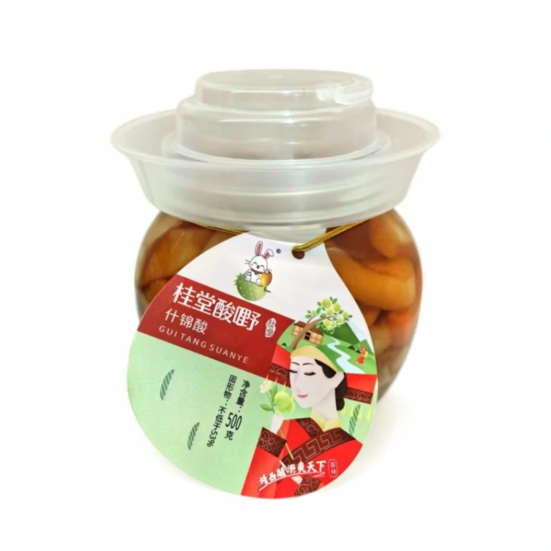 广西靖西特产开味解腻桂堂酸嘢500g