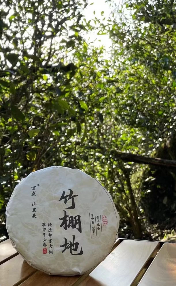 2023 白露初秋·邦东森林古树竹棚地核心产区普洱茶生茶  200g
