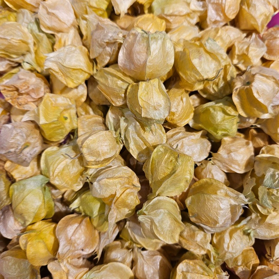 【御芳源优选】菇娘1盒约250g（水果）