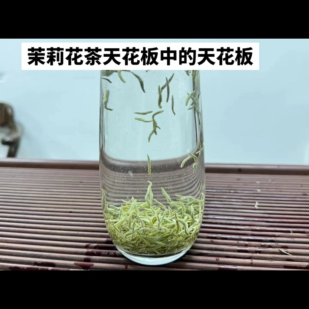 茉莉花绿茶茶厂春茶头采茉莉飘雪耐冲泡天然绿色生态