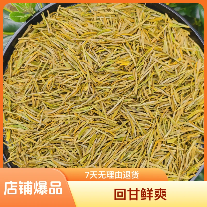 2025头春头采高山黄金芽