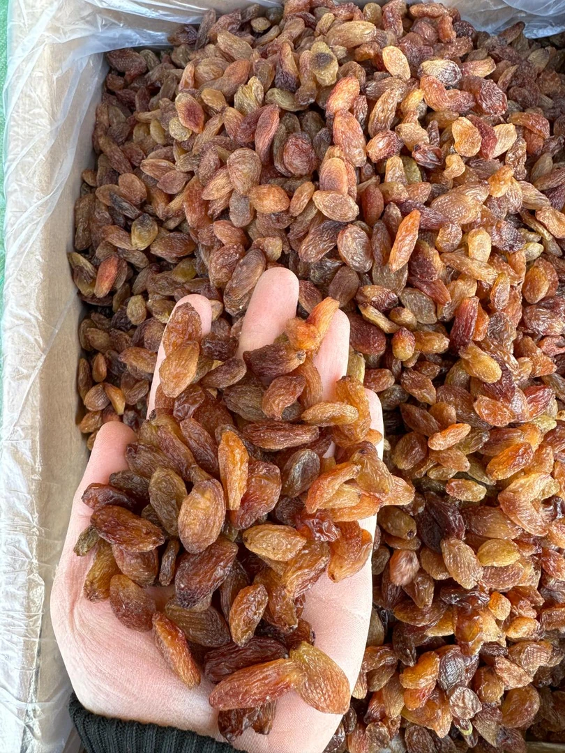 吐鲁番精选中颗粒红中王葡萄干新货