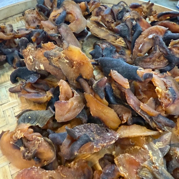 【大海干货店】MG红螺嘴