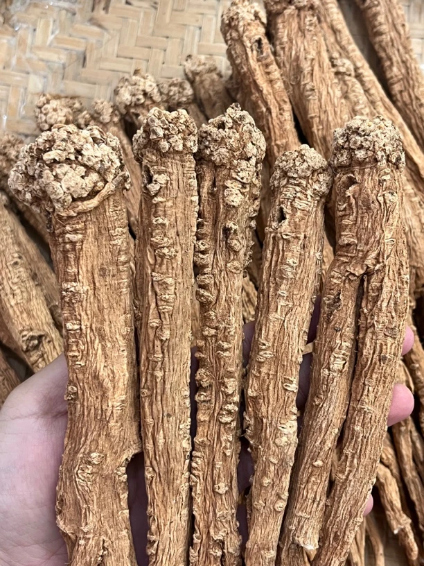 【大海干货店】大自然當心