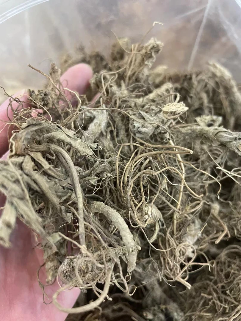 【大海货】大自然 地 月旦头