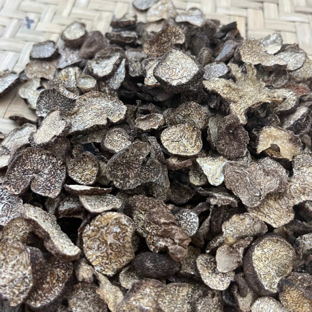 【大海干货店】茶色 黑松LLu1