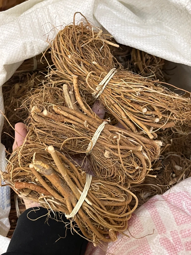 【大海干货店】五指桃桃子