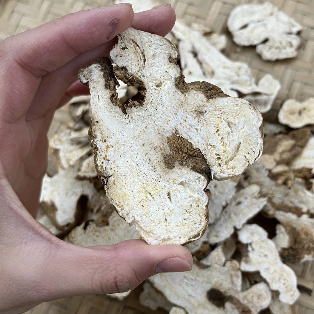 【大海干货店】白术